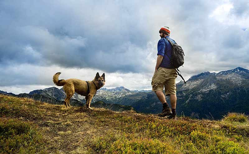 Senderismo con tu perro: consejos para excursiones y recorridos de trekking